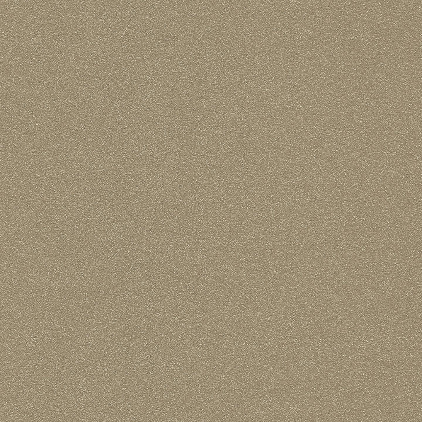 M06.4.1 Amber