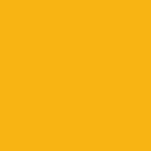 9689 Exterior Yellow
