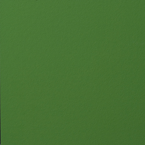 A36.3.5 Turf Green