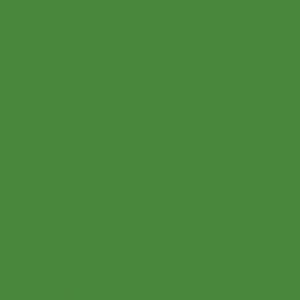 9690 Exterior Green